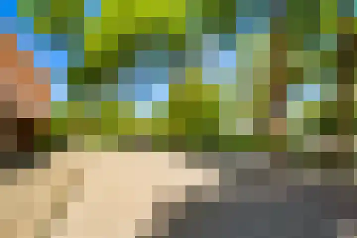 Ransuil 3 Nieuwegein thumbnail 41