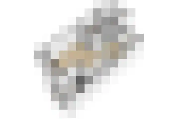Ransuil 3 Nieuwegein thumbnail 44