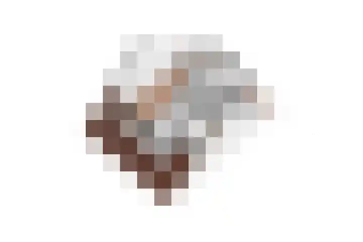 Ransuil 3 Nieuwegein thumbnail 50