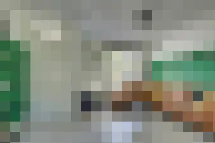 Ransuil 3 Nieuwegein thumbnail 6