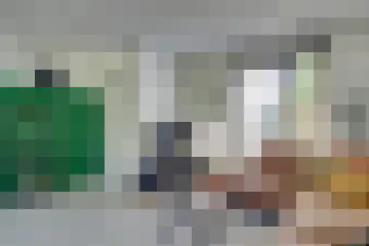 Ransuil 3 Nieuwegein thumbnail 8