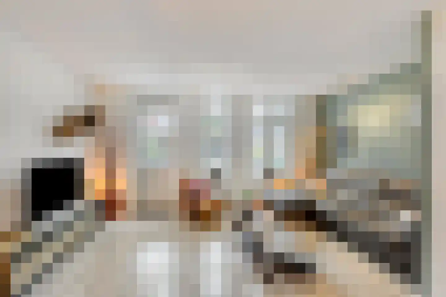 Ransuil 5 Mierlo thumbnail 11