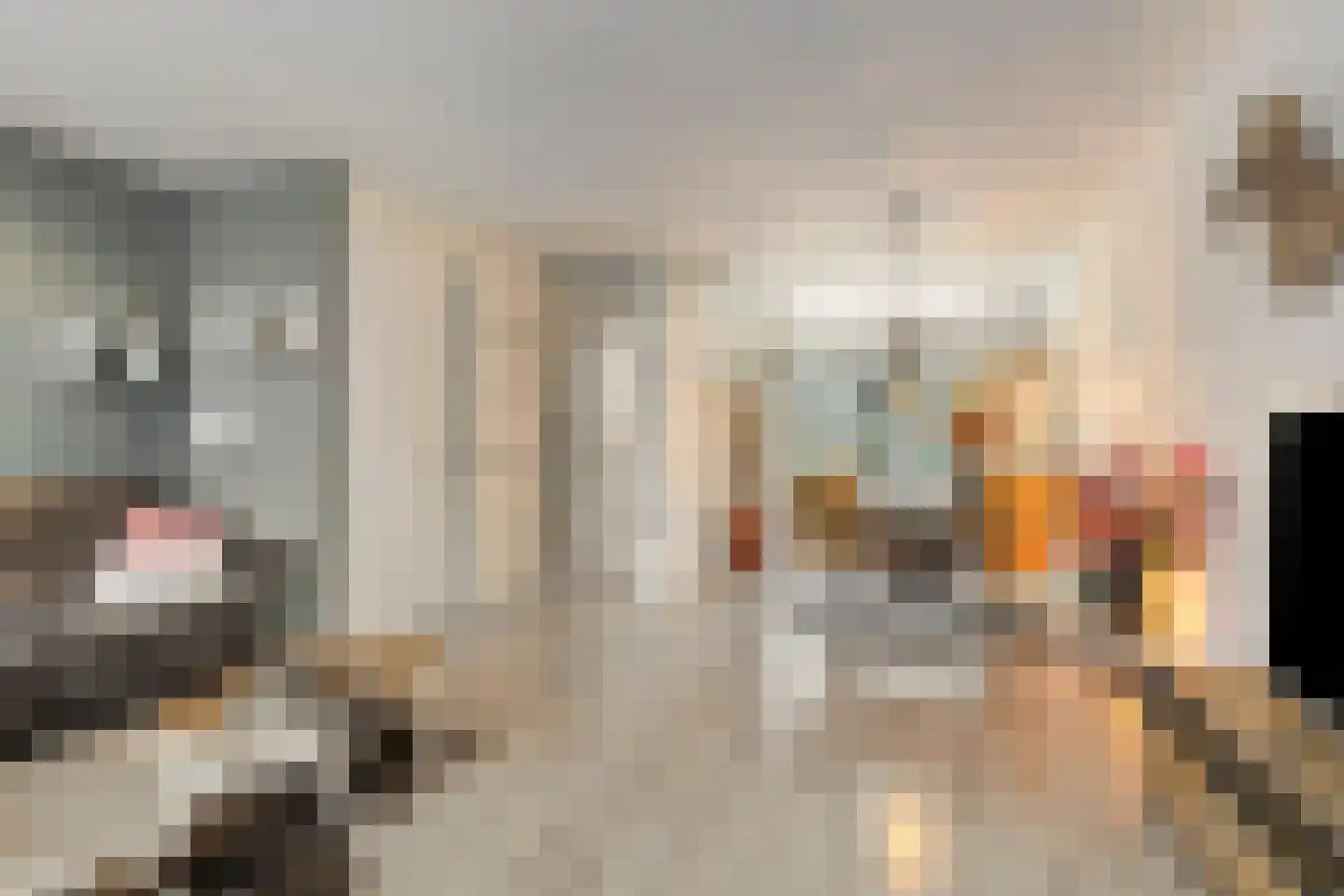 Ransuil 5 Mierlo thumbnail 13