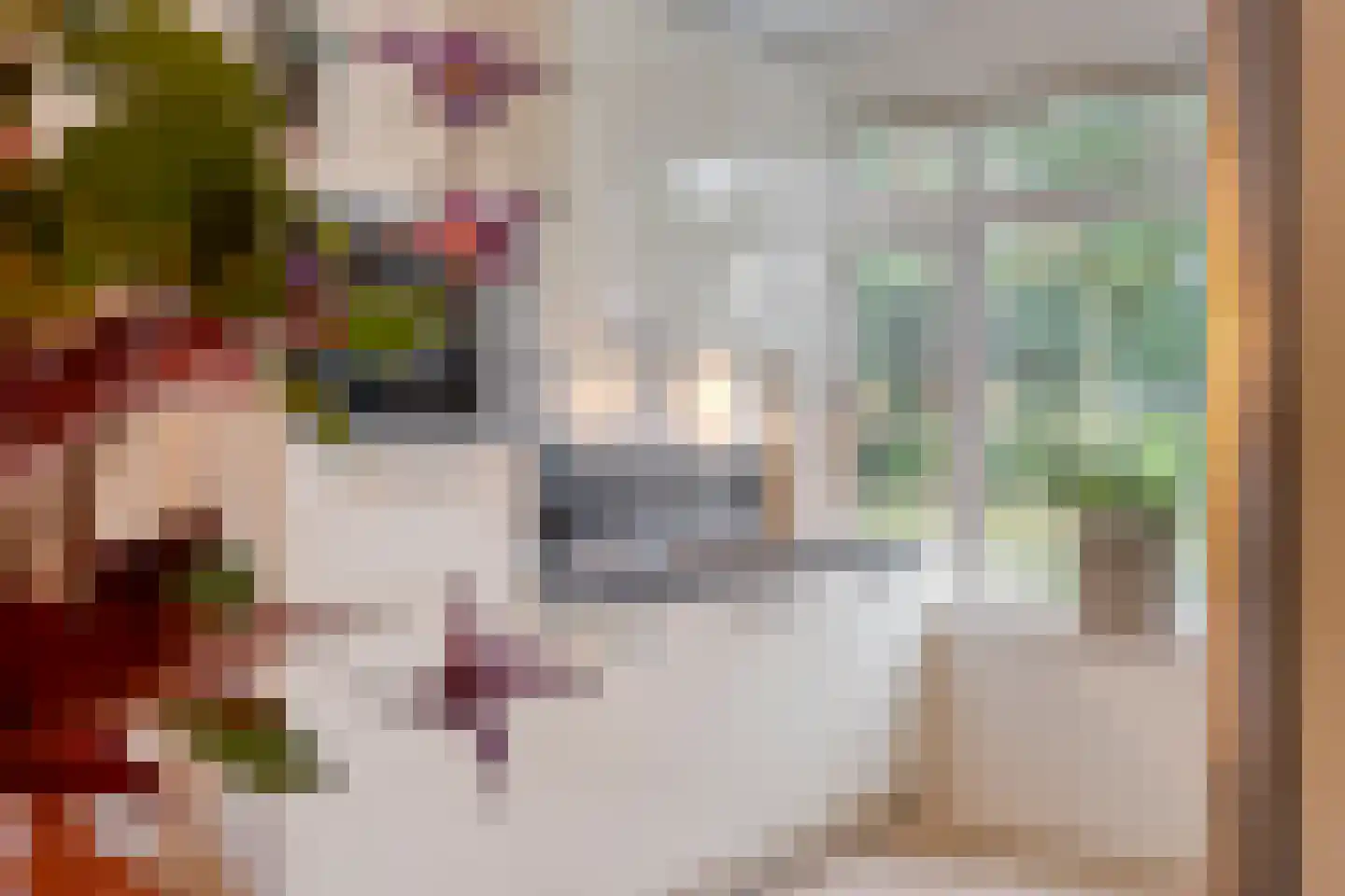 Ransuil 5 Mierlo thumbnail 16