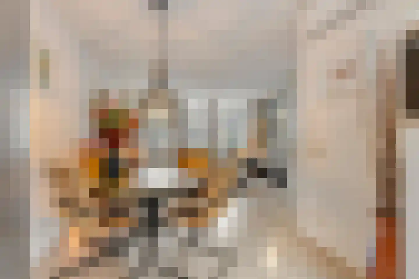 Ransuil 5 Mierlo thumbnail 18