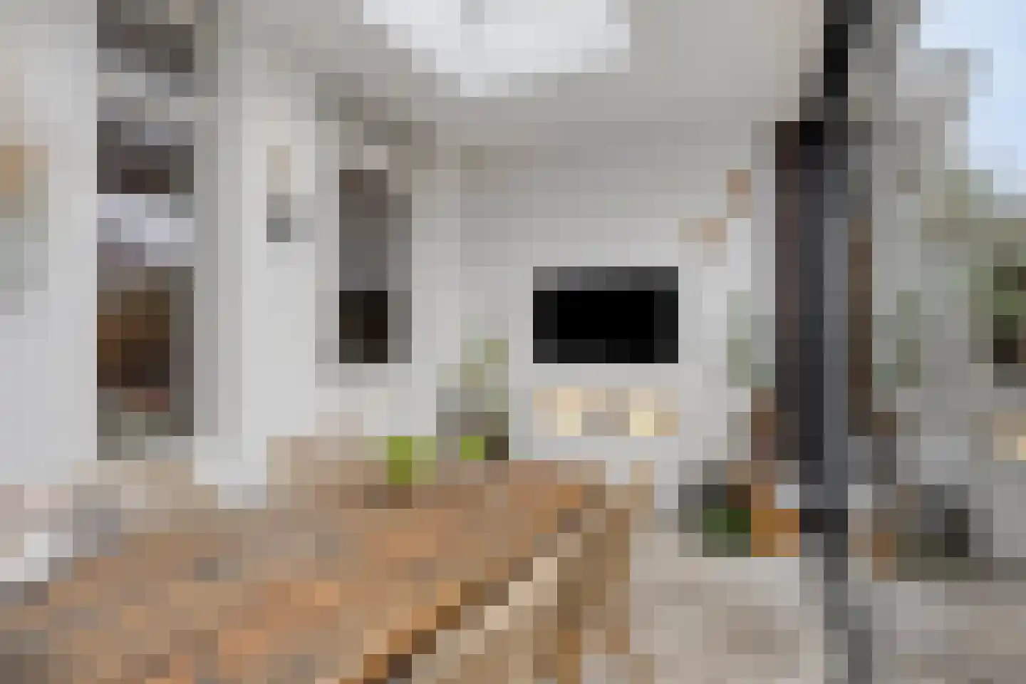 Ransuil 5 Mierlo thumbnail 22