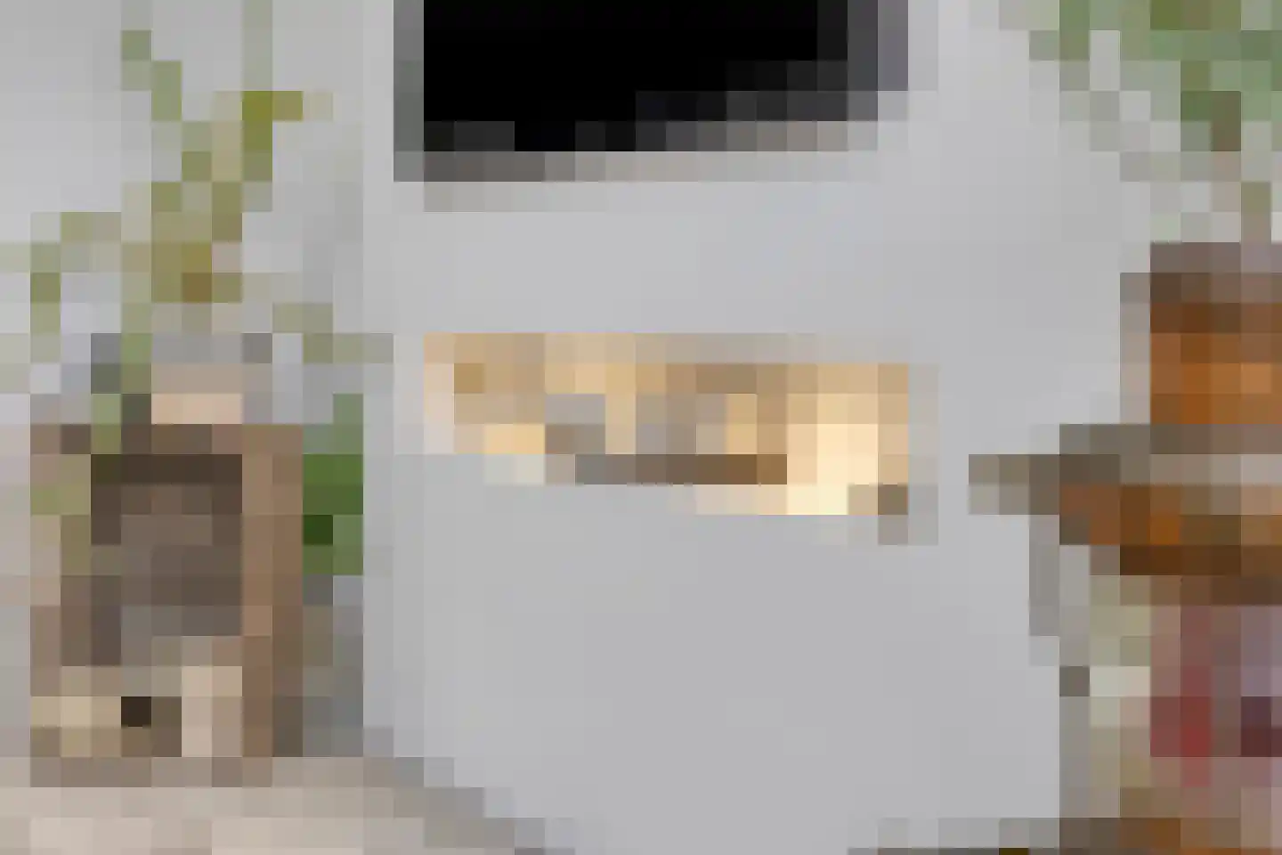 Ransuil 5 Mierlo thumbnail 24