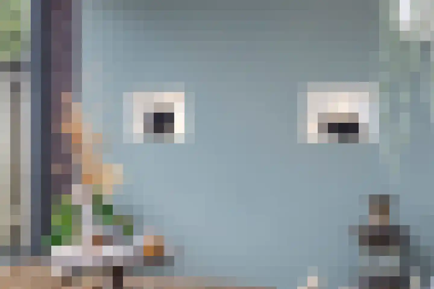 Ransuil 5 Mierlo thumbnail 25