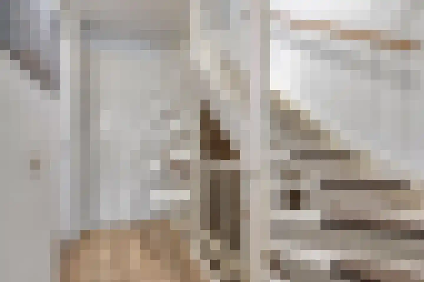 Ransuil 5 Mierlo thumbnail 28