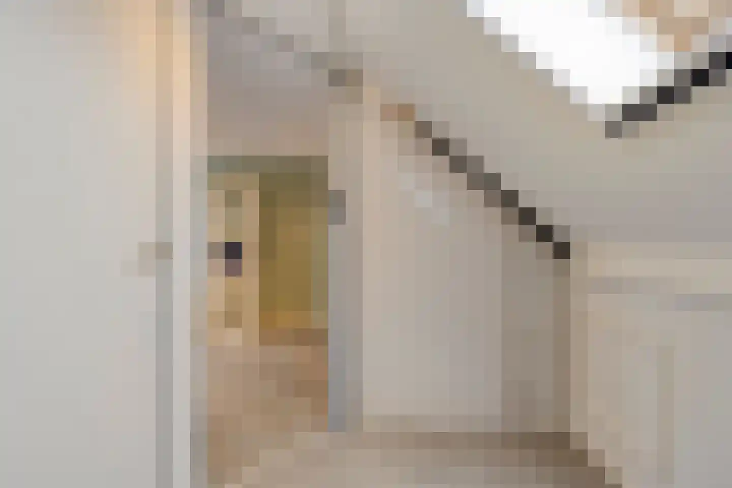 Ransuil 5 Mierlo thumbnail 39