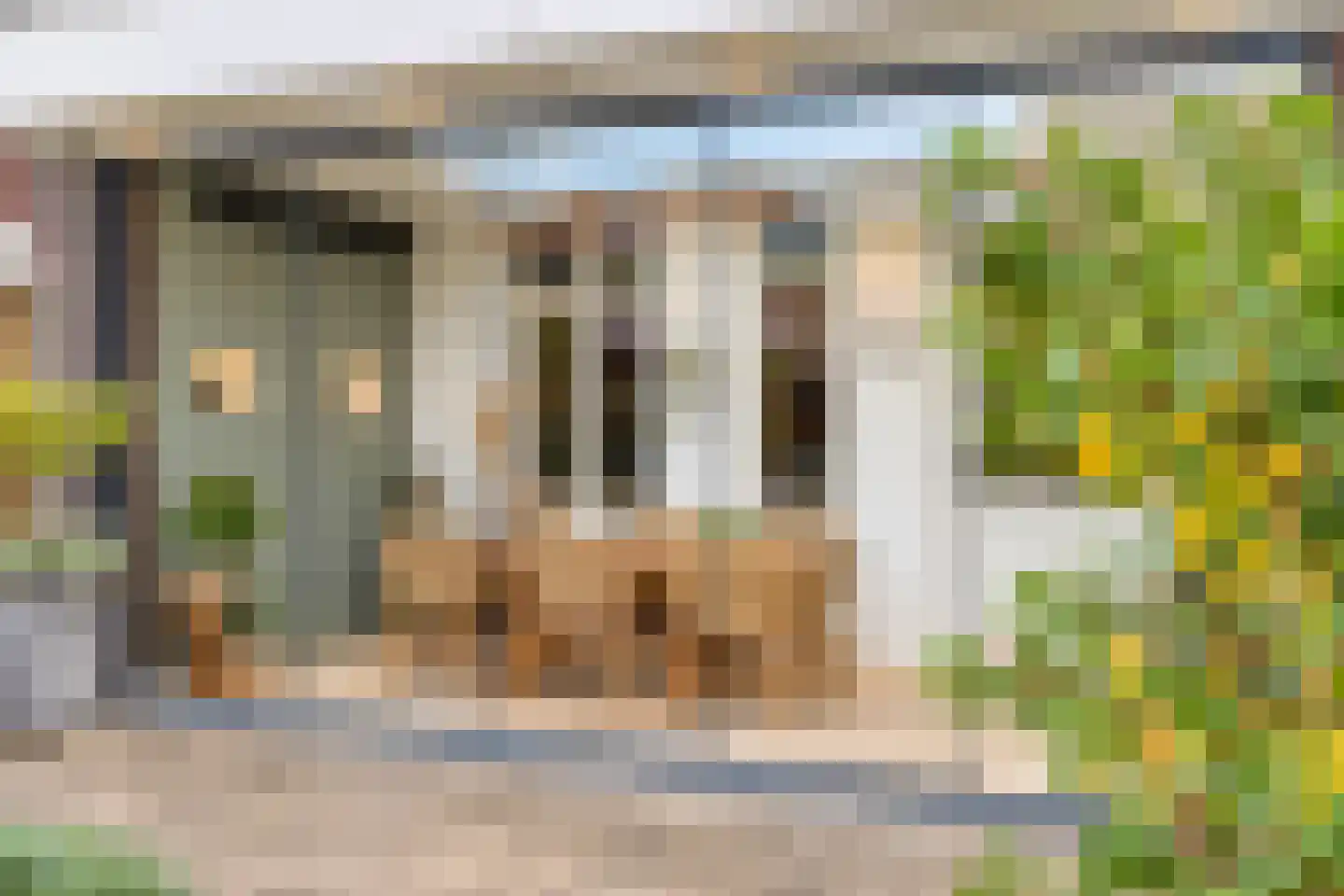 Ransuil 5 Mierlo thumbnail 45