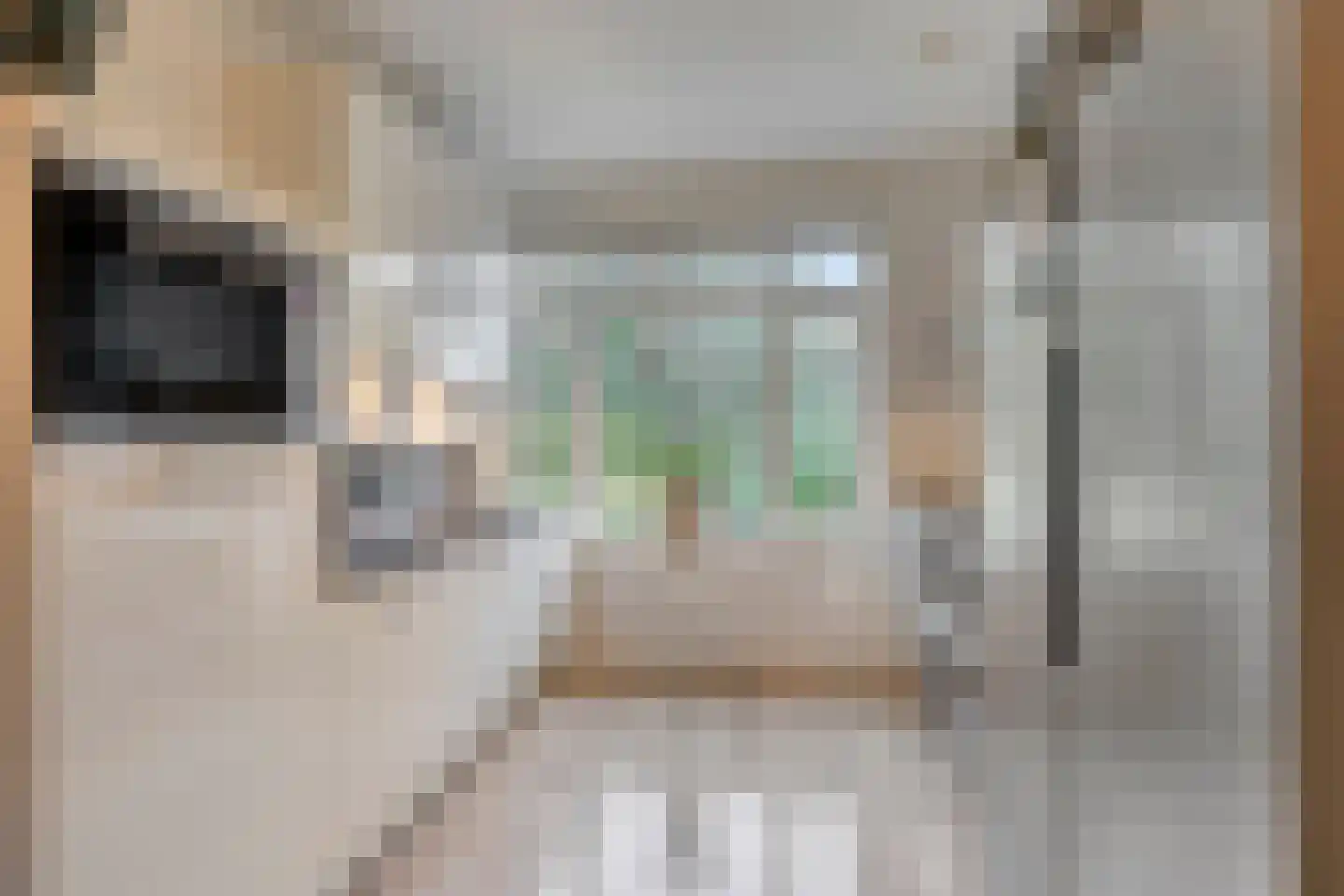 Ransuil 5 Mierlo thumbnail 5