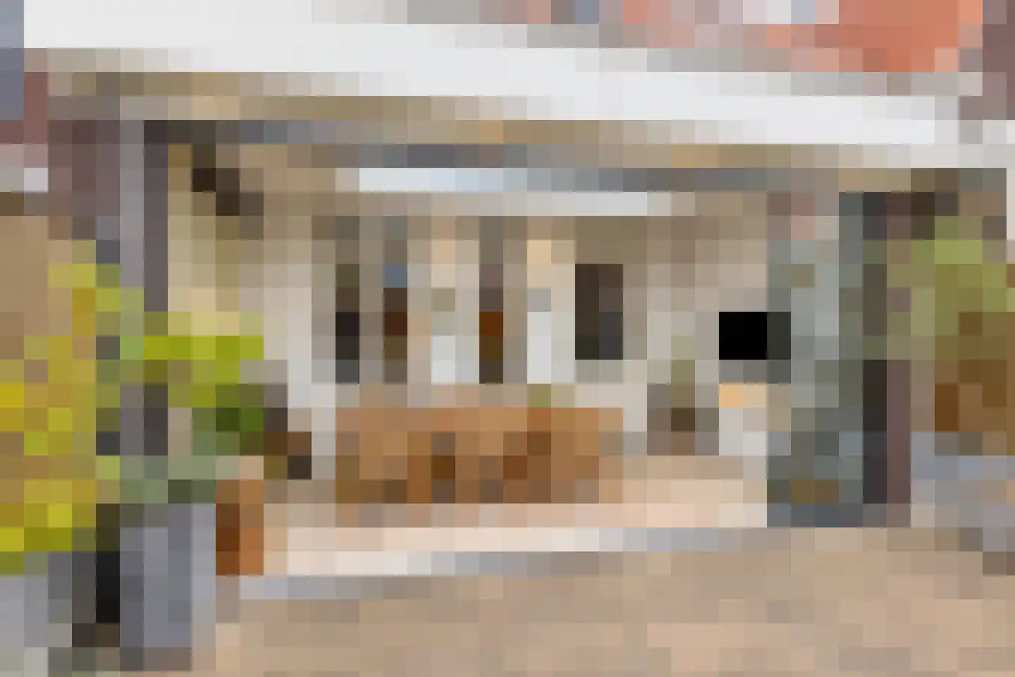 Ransuil 5 Mierlo thumbnail 7