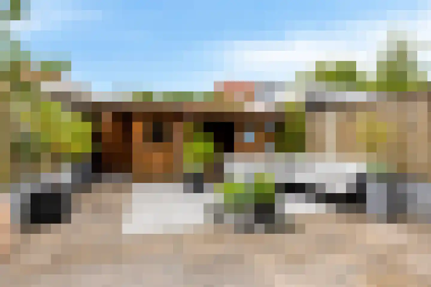 Ransuil 5 Mierlo thumbnail 8