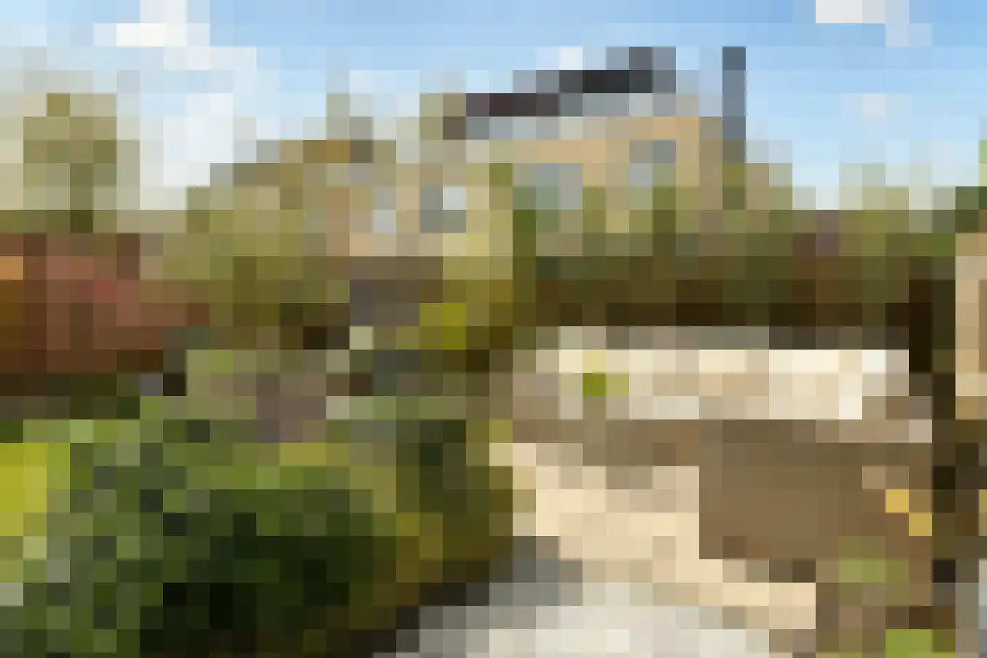 Ransuil 7 Ouderkerk aan de Amstel thumbnail 13