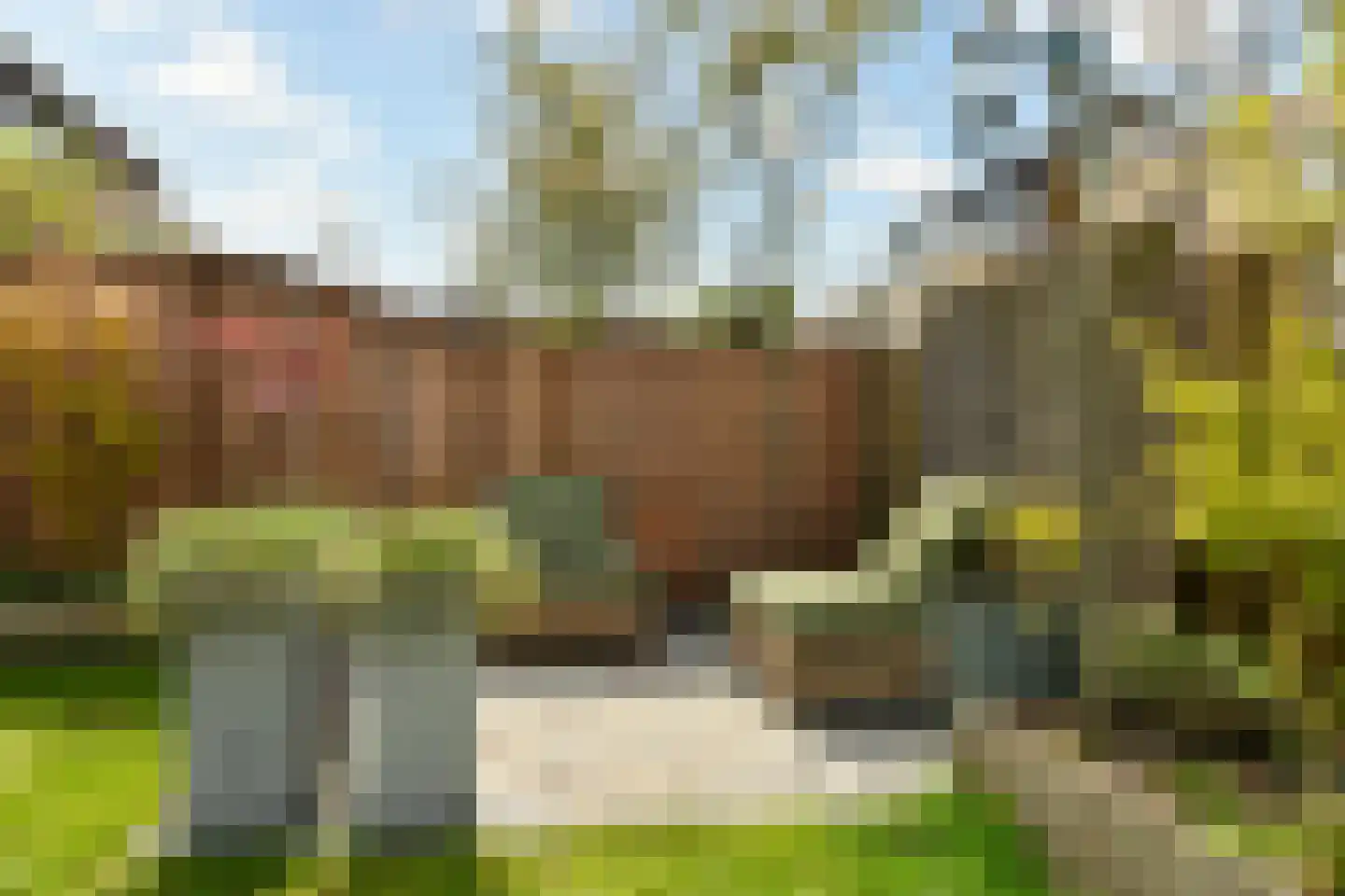 Ransuil 7 Ouderkerk aan de Amstel thumbnail 14