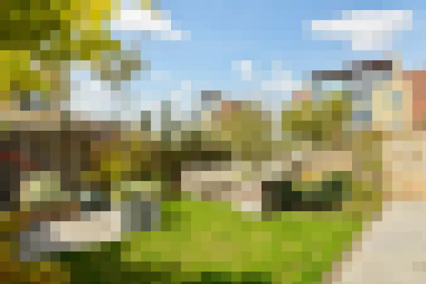 Ransuil 7 Ouderkerk aan de Amstel thumbnail 15