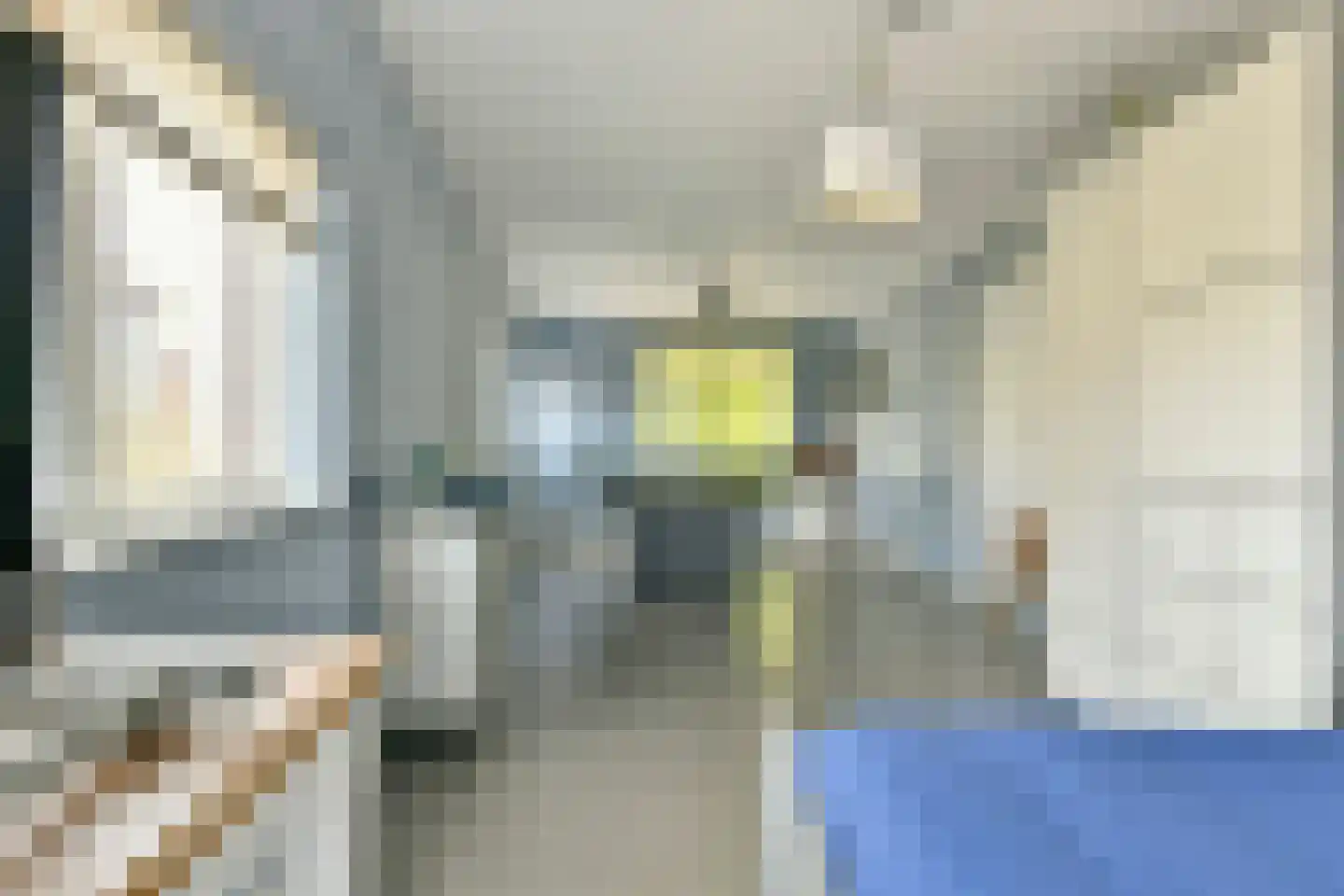 Ransuil 7 Ouderkerk aan de Amstel thumbnail 20