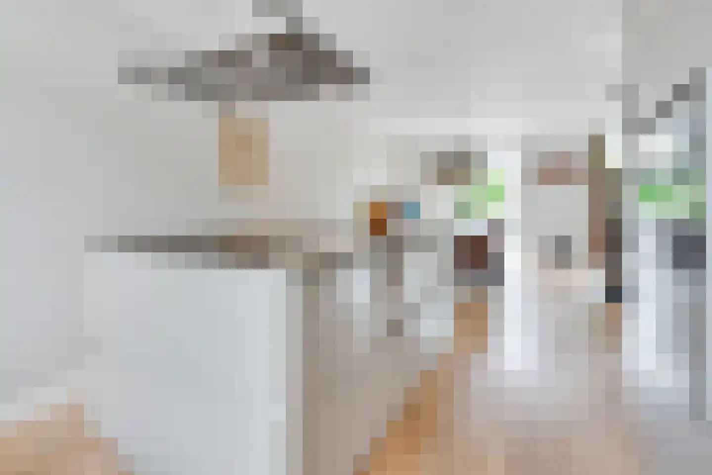 Ransuil 8 Ouderkerk aan de Amstel thumbnail 14