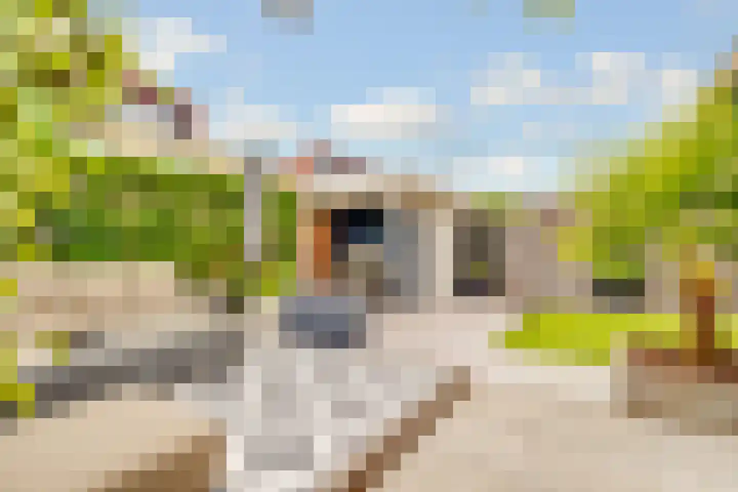 Ransuil 8 Ouderkerk aan de Amstel thumbnail 19