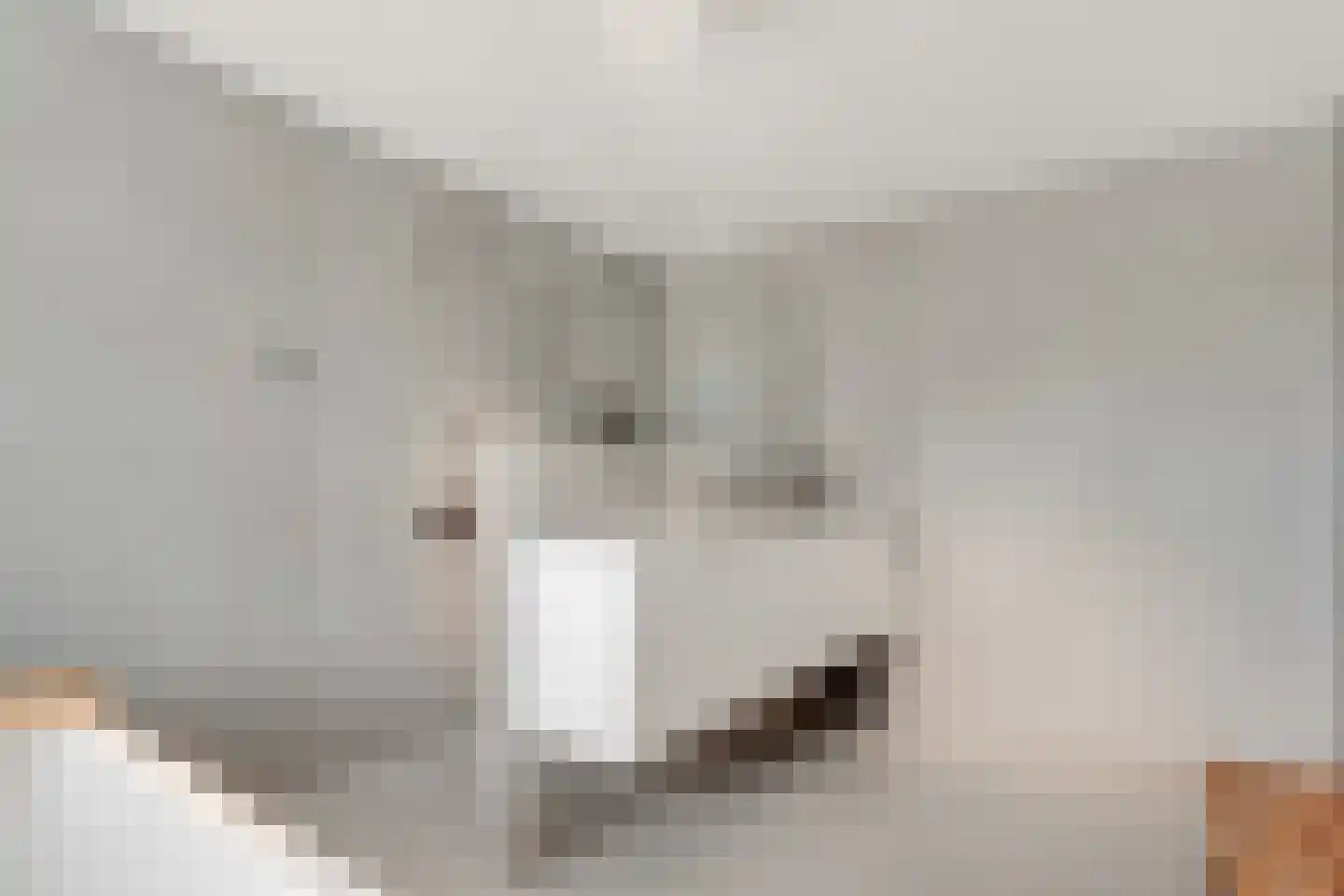 Ransuil 8 Ouderkerk aan de Amstel thumbnail 26