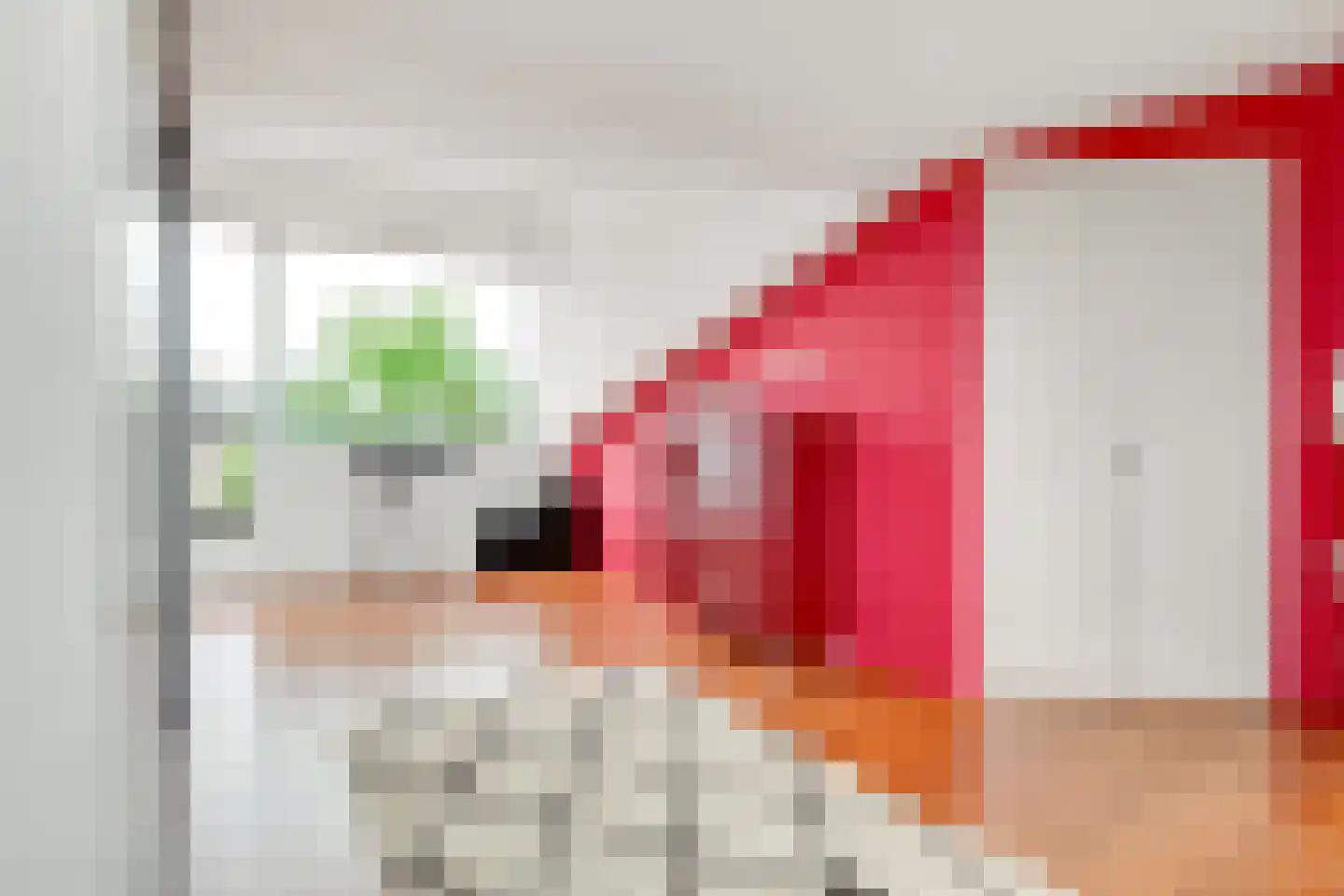 Ransuil 8 Ouderkerk aan de Amstel thumbnail 38