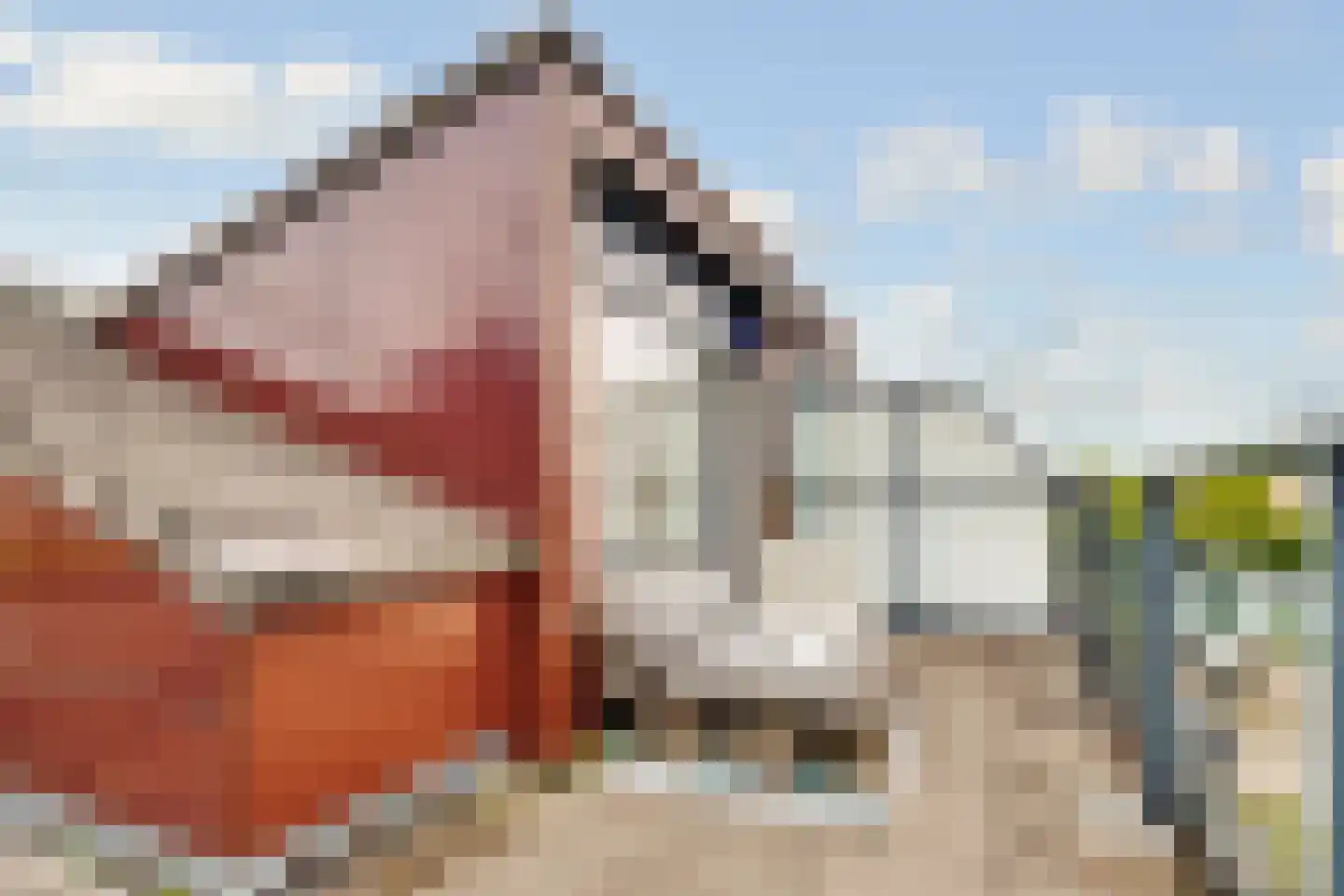 Ransuil 8 Ouderkerk aan de Amstel thumbnail 41