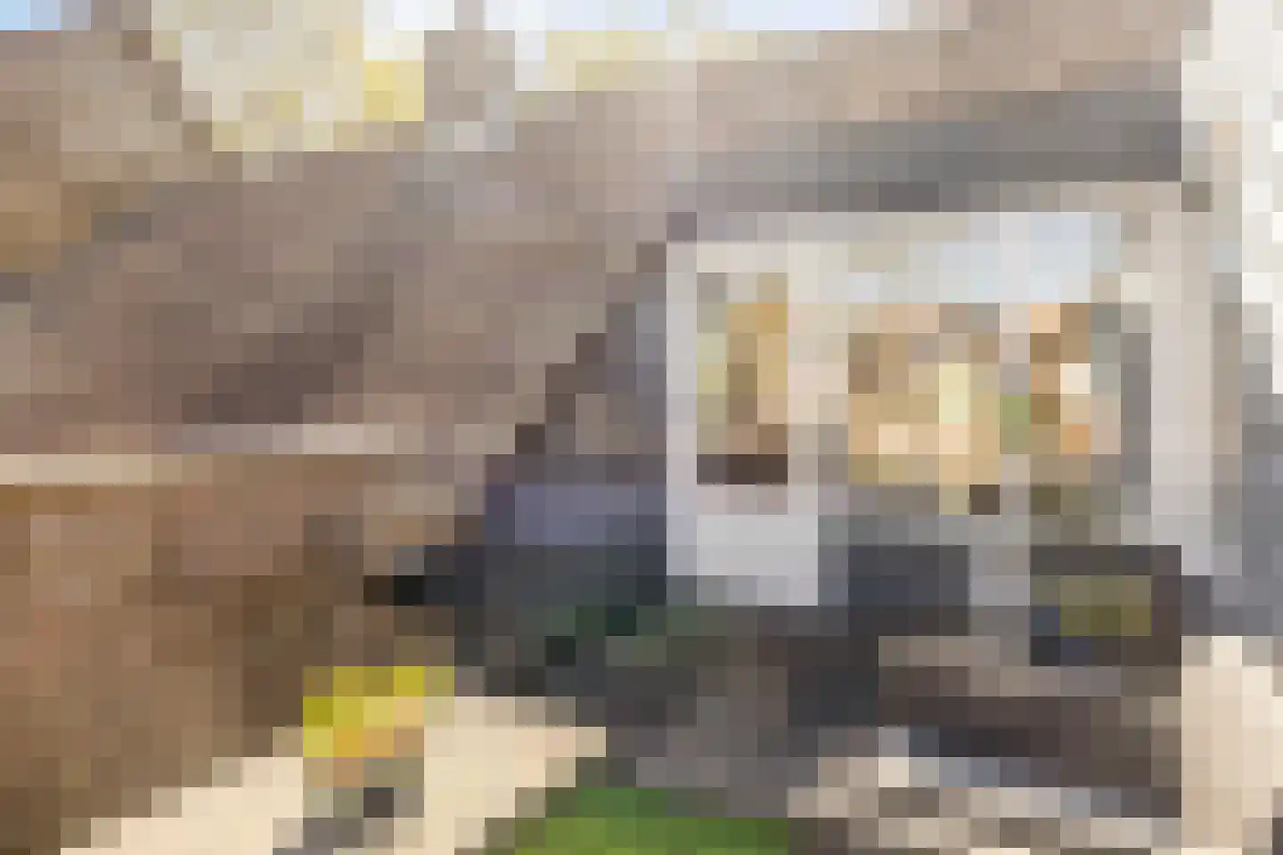 Ransuilstraat 14 Alkmaar thumbnail 28