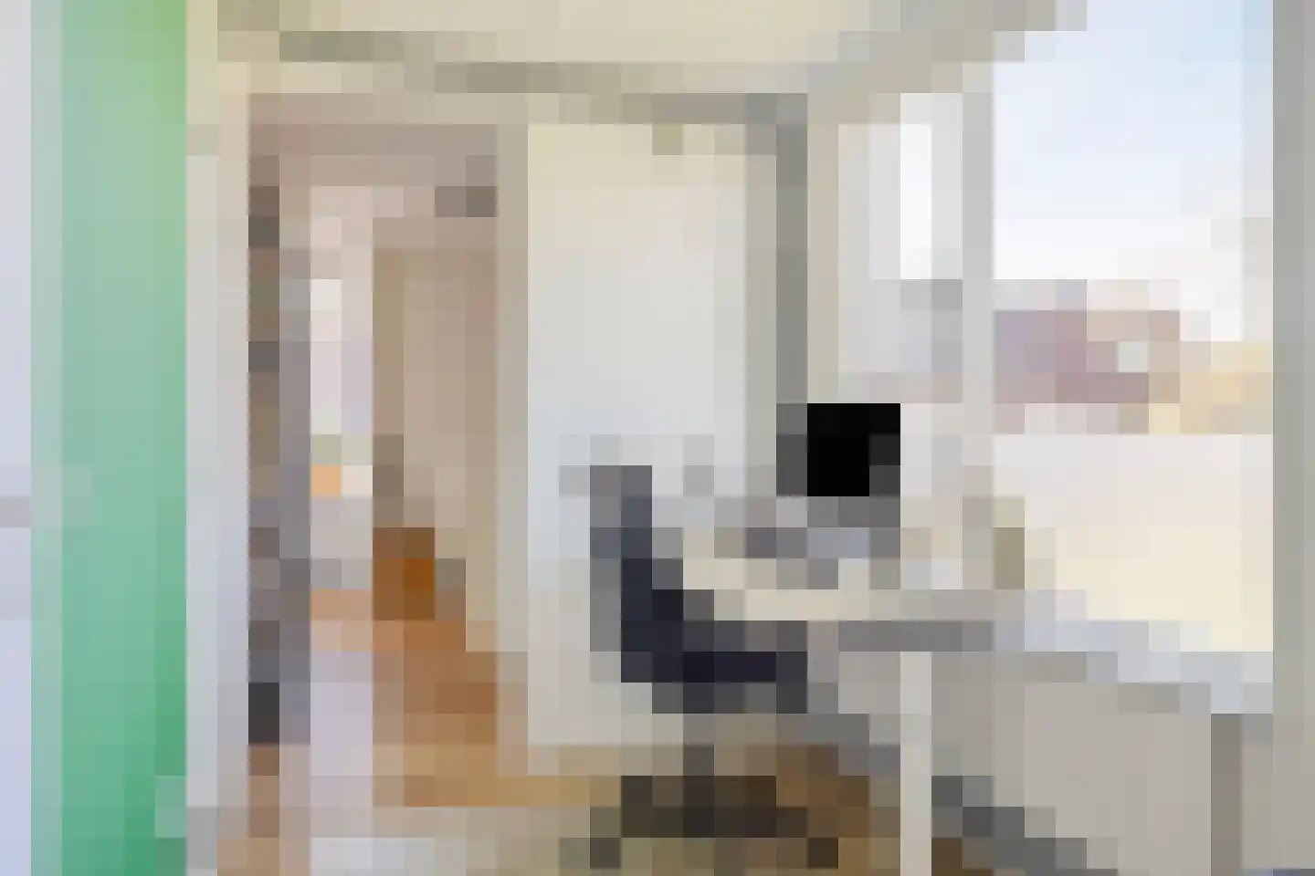 Ransuilstraat 14 Alkmaar thumbnail 31
