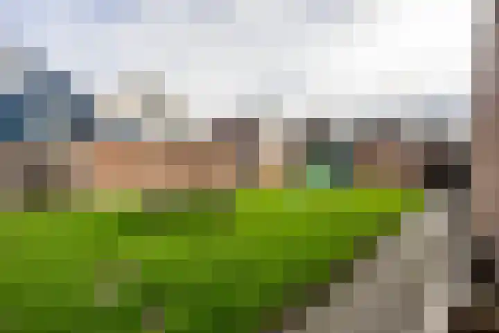 Ranumerweg 18 Winsum thumbnail 39