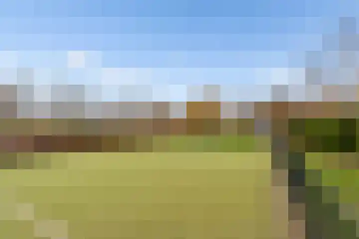 Raoul Dufystraat 45 Almere thumbnail 35