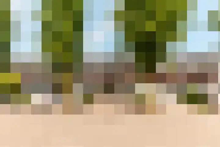 Raoul Dufystraat 7 Almere thumbnail 32