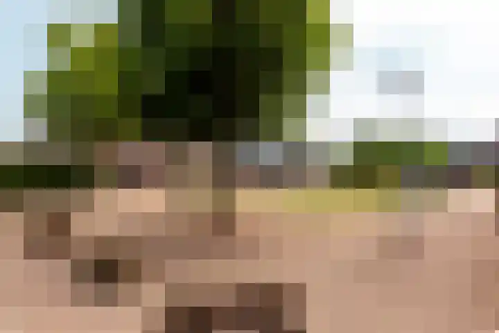 Raoul Dufystraat 7 Almere thumbnail 34