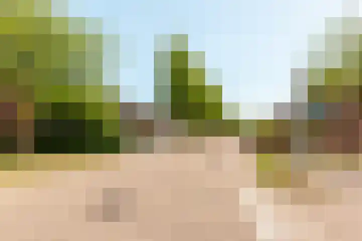 Raoul Dufystraat 7 Almere thumbnail 37