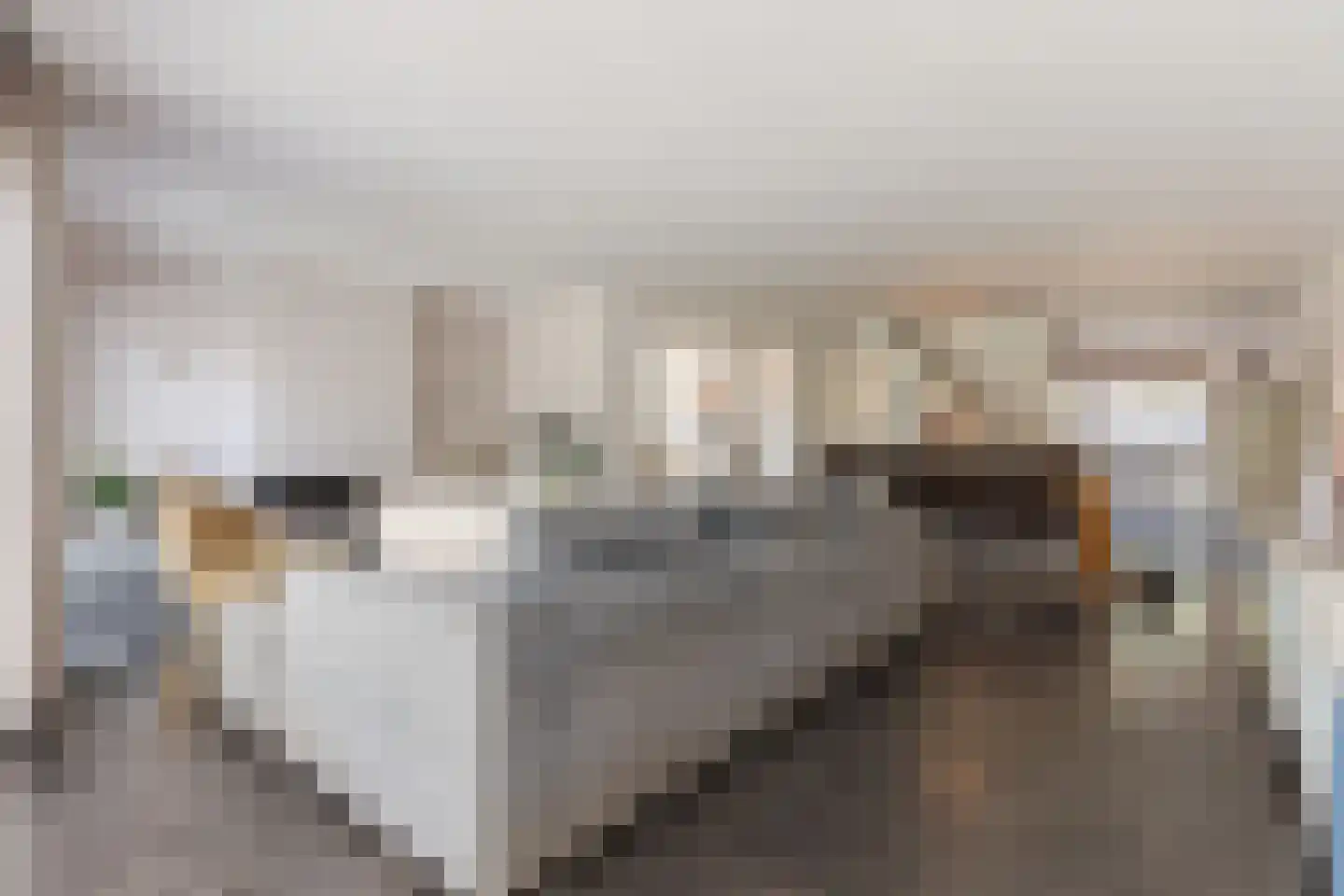 Raoul Hynckesstraat 2 Eindhoven thumbnail 14