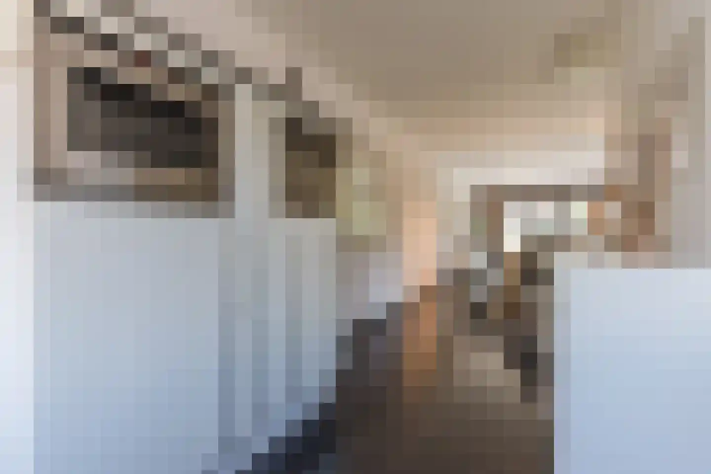 Raoul Hynckesstraat 2 Eindhoven thumbnail 26
