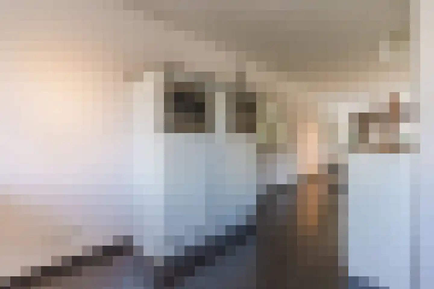 Raoul Hynckesstraat 2 Eindhoven thumbnail 27