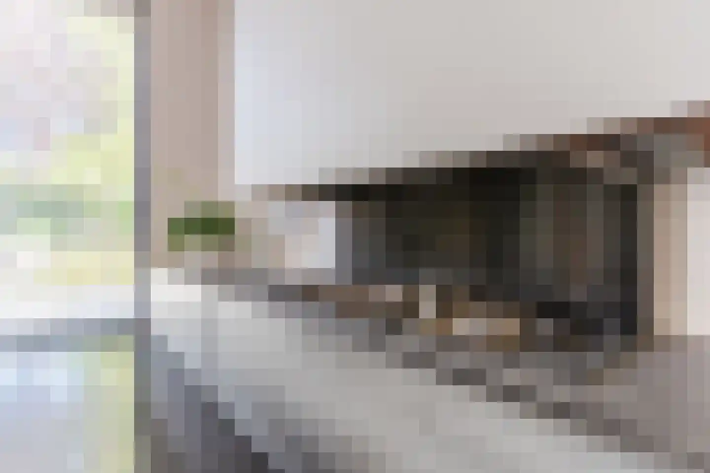 Raoul Hynckesstraat 2 Eindhoven thumbnail 31