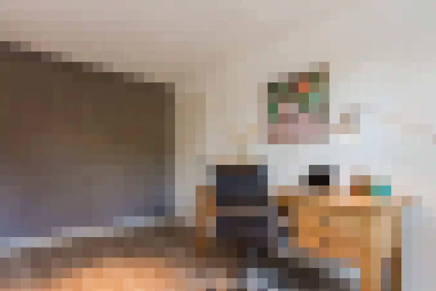Raoul Hynckesstraat 2 Eindhoven thumbnail 50