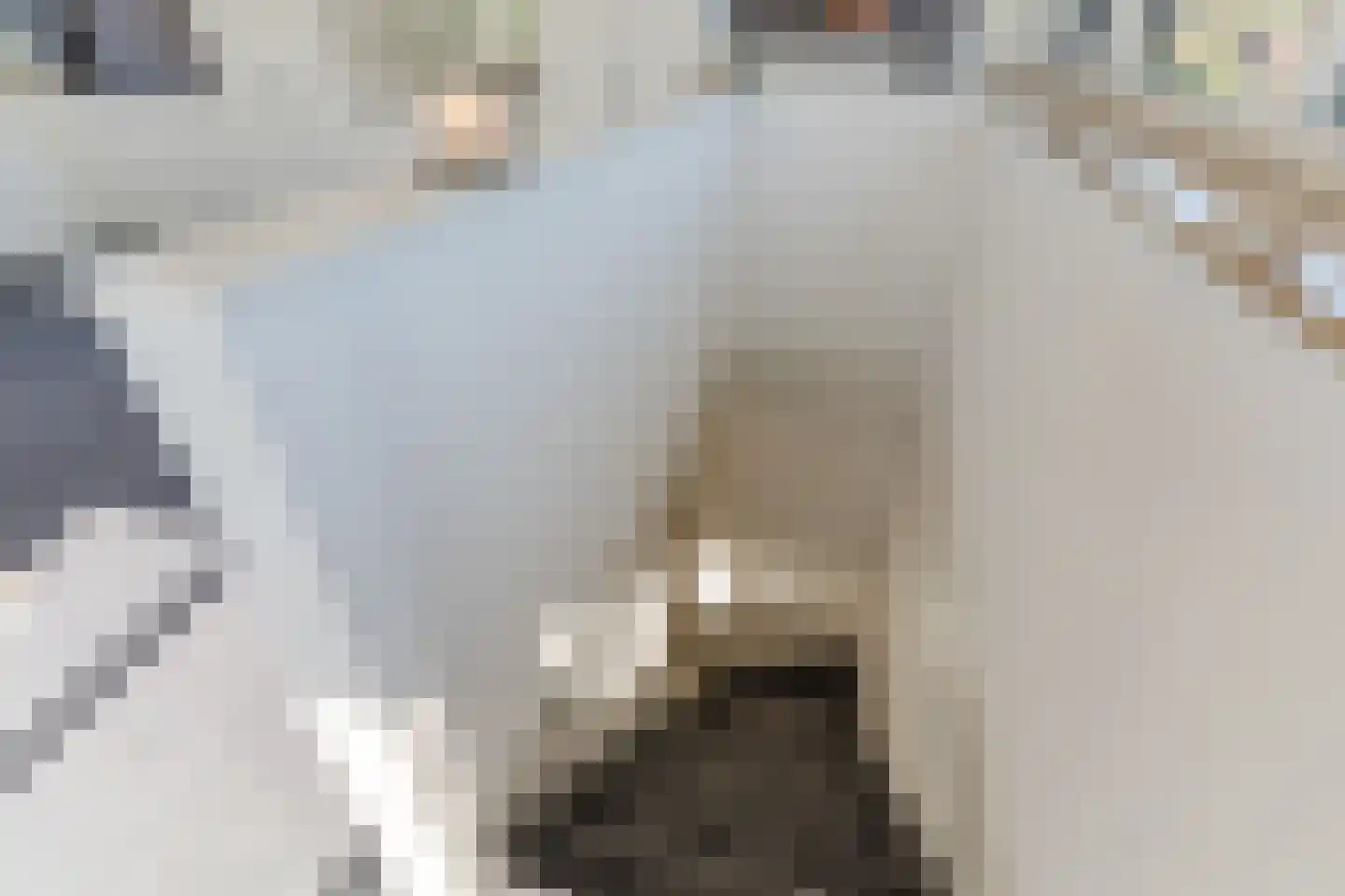 Raoul Hynckesstraat 2 Eindhoven thumbnail 58