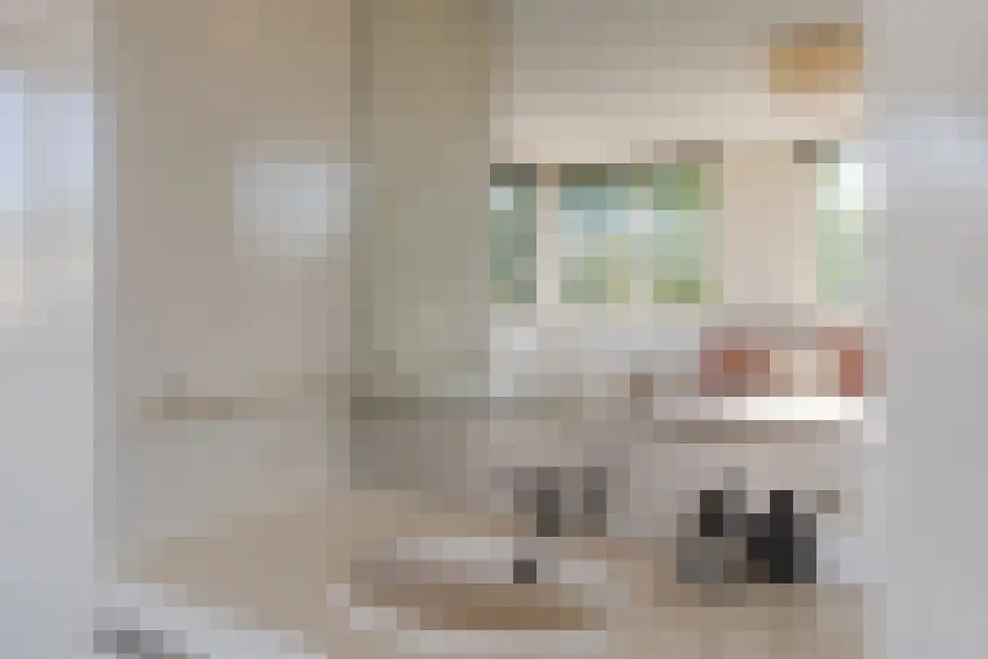 Raoul Hynckesstraat 2 Eindhoven thumbnail 60