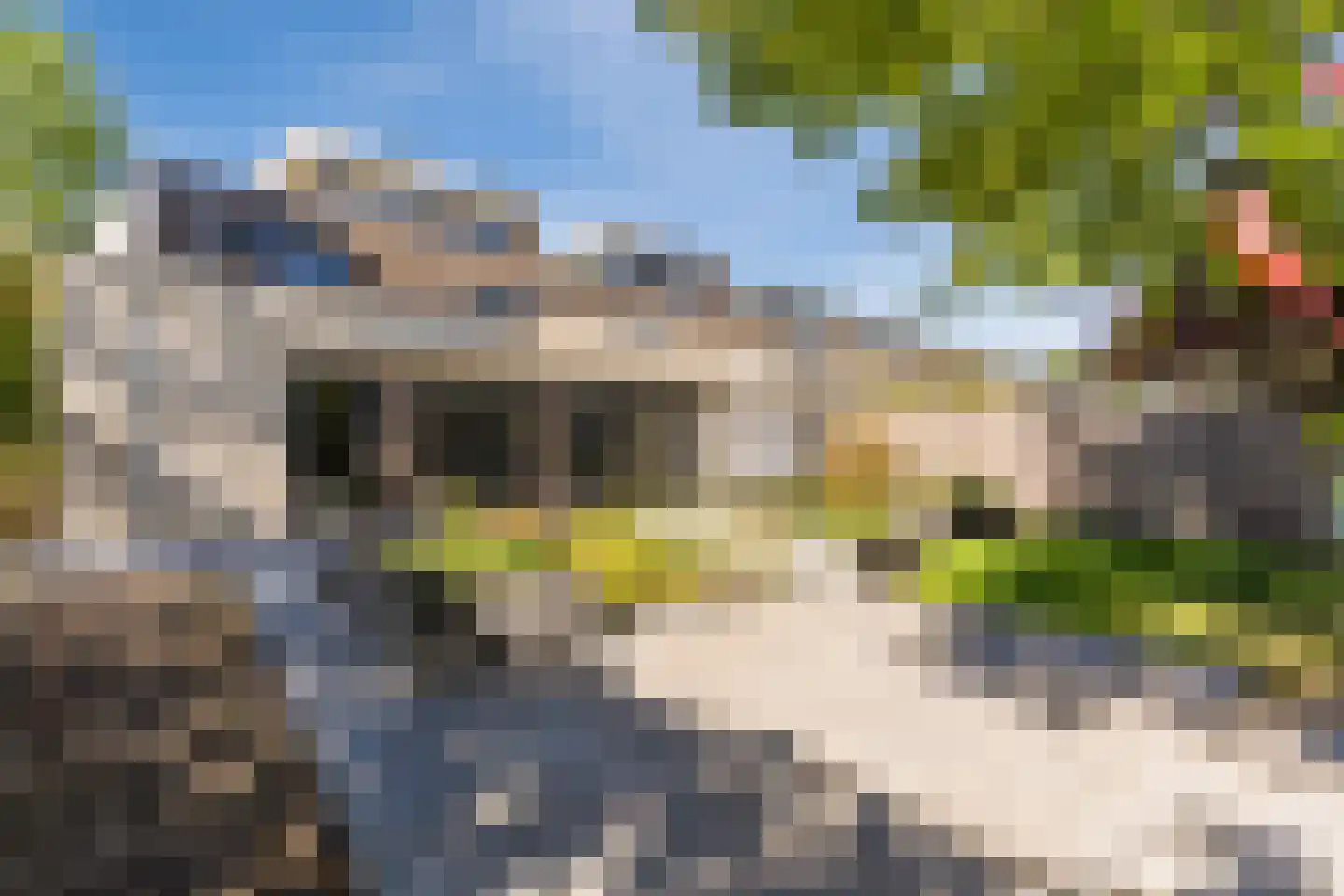 Raoul Hynckesstraat 2 Eindhoven thumbnail 71