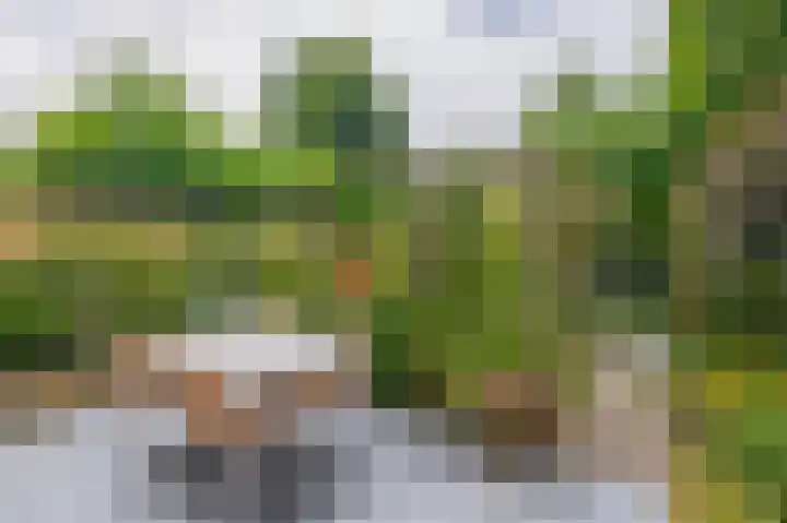 Raoul Hynckesstraat 3 Eindhoven thumbnail 30