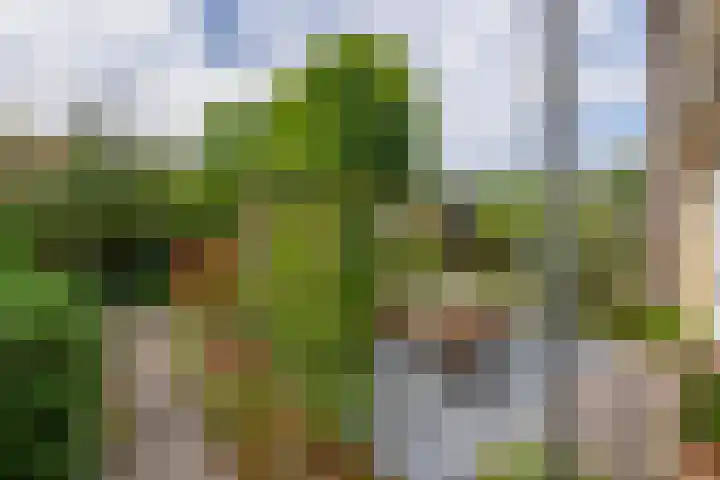Raoul Hynckesstraat 3 Eindhoven thumbnail 31