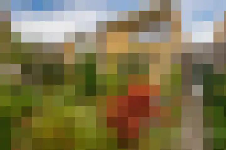 Raoul Hynckesstraat 3 Eindhoven thumbnail 32