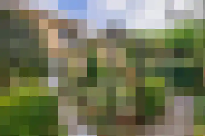 Raoul Hynckesstraat 3 Eindhoven thumbnail 33
