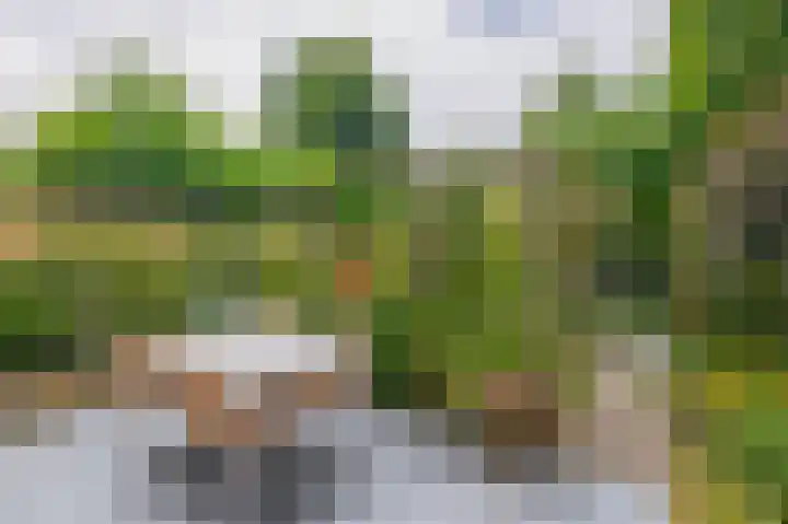 Raoul Hynckesstraat 3 Eindhoven thumbnail 5