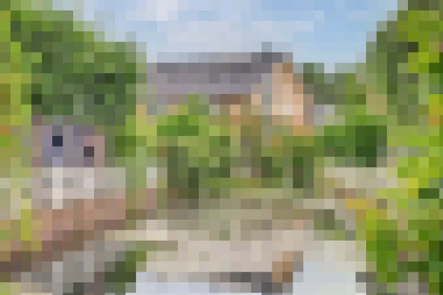 Raoul Wallenbergborg 12 Schiedam thumbnail 30