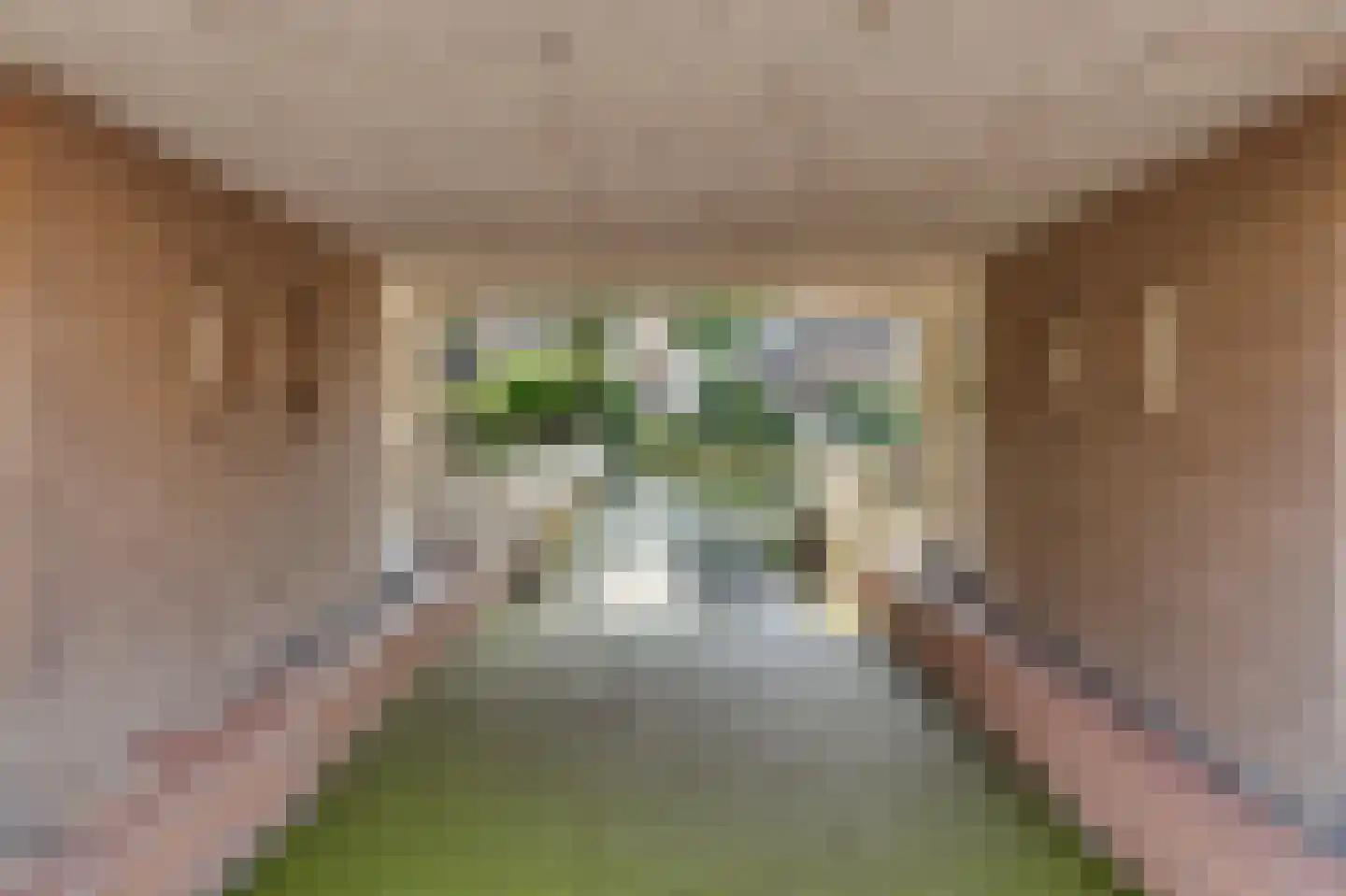 Raoul Wallenbergborg 12 Schiedam thumbnail 31