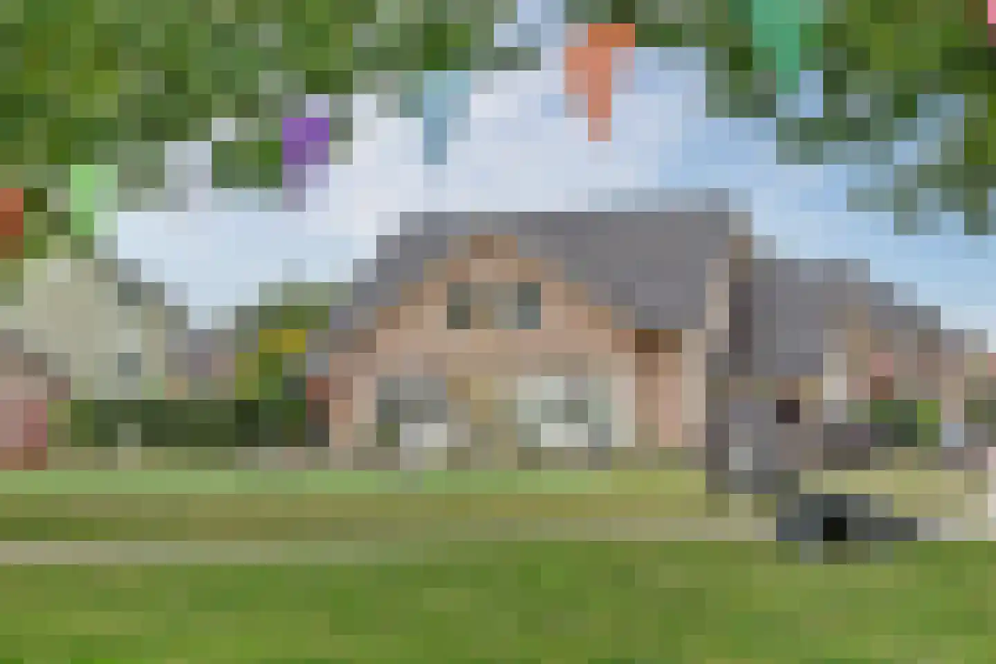 Raoul Wallenbergborg 12 Schiedam thumbnail 36
